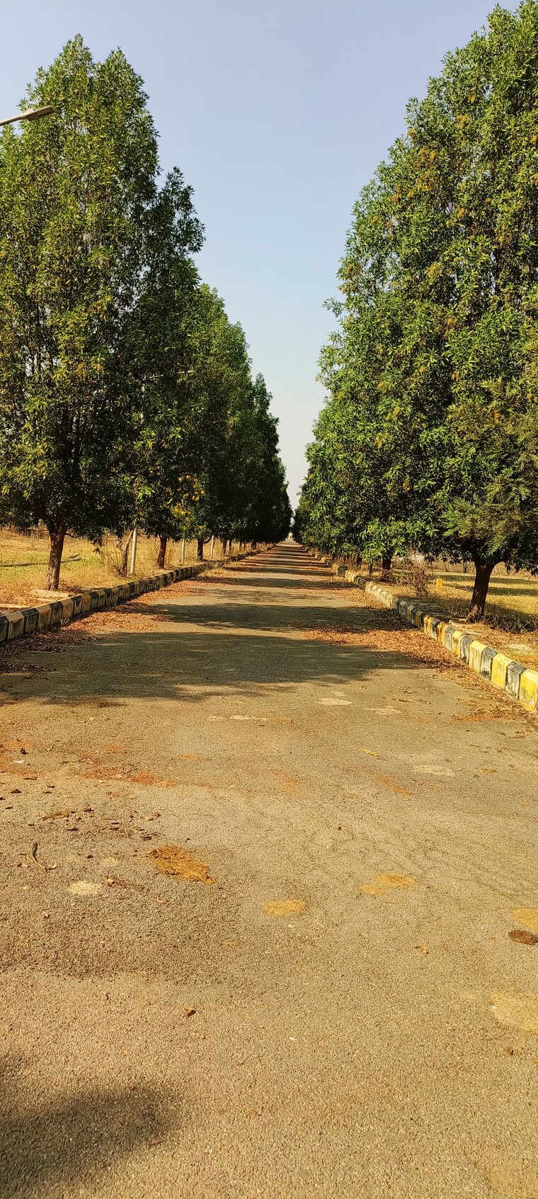 undefined, tukkuguda  200 Sq.Yd. Plot In Tukkuguda Hyderabad 9188183