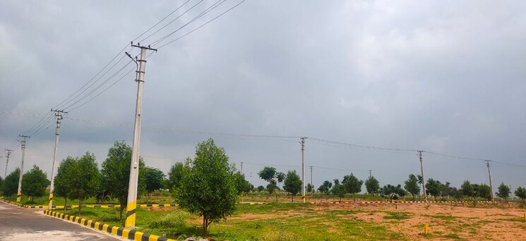 Garden, vasudaika-cosmo-celesse  160 Sq.Yd. Plot In Nazdik Singaram Hyderabad 9188185