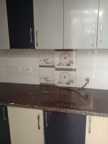Kitchen in 2 BHK Builder Floor at Huda – for Rent