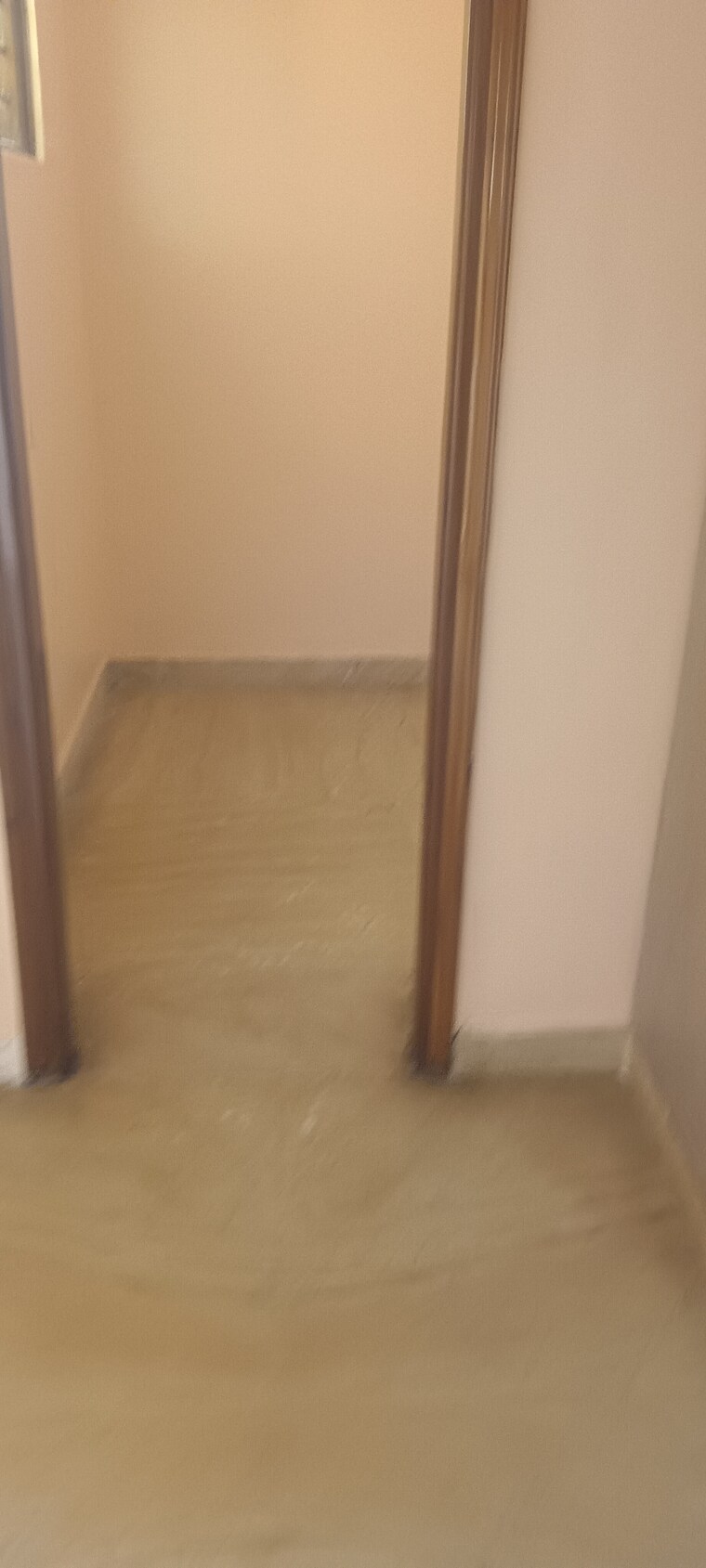 Room, sector 14 3 Bedroom 350 Sq.Yd. Villa In Sector 14 Faridabad 9188235