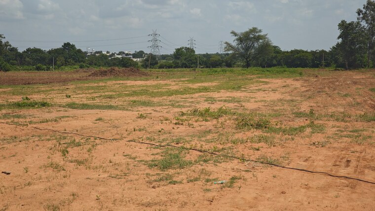 undefined, shadnagar  150 Sq.Yd. Plot In Shadnagar Hyderabad 9188234