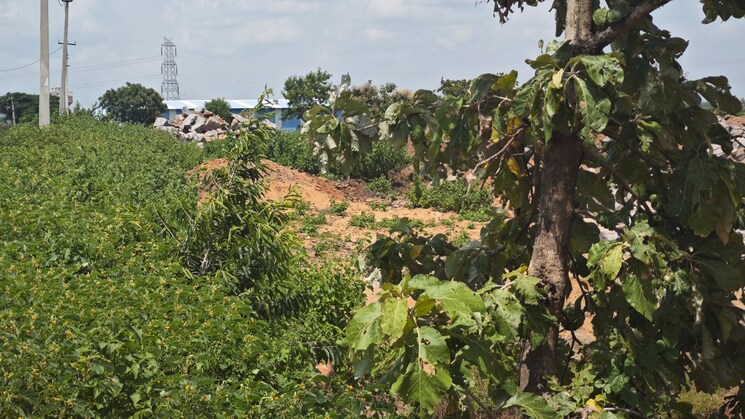 undefined, shadnagar  150 Sq.Yd. Plot In Shadnagar Hyderabad 9188253