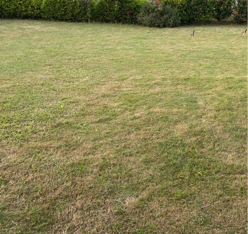 Plot For Sale in Faridabad Sector 85