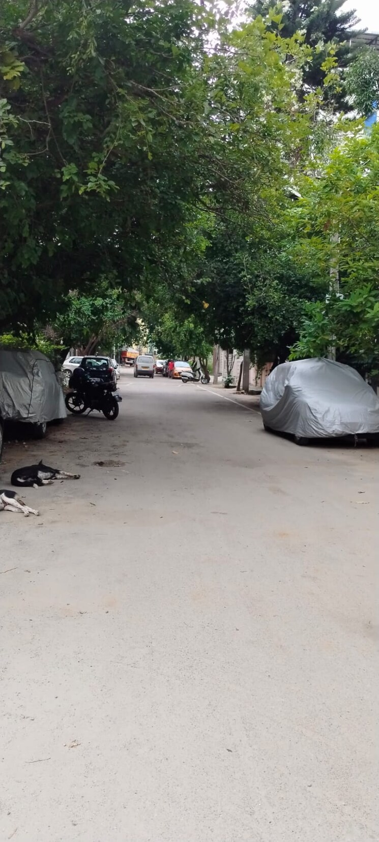 Exterior View, akshay-gardens  1395 Sq.Ft. Plot In Akshayanagar Bangalore 9188678