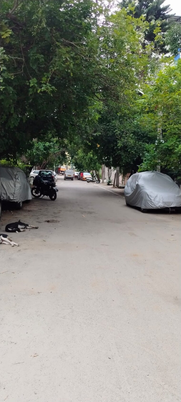 Exterior View, akshay-gardens  1395 Sq.Ft. Plot In Akshayanagar Bangalore 9188678