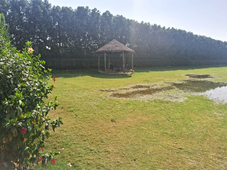 Garden, rahmatnagar  1000 Sq.Ft. Plot In Rahmatnagar Lucknow 9188689