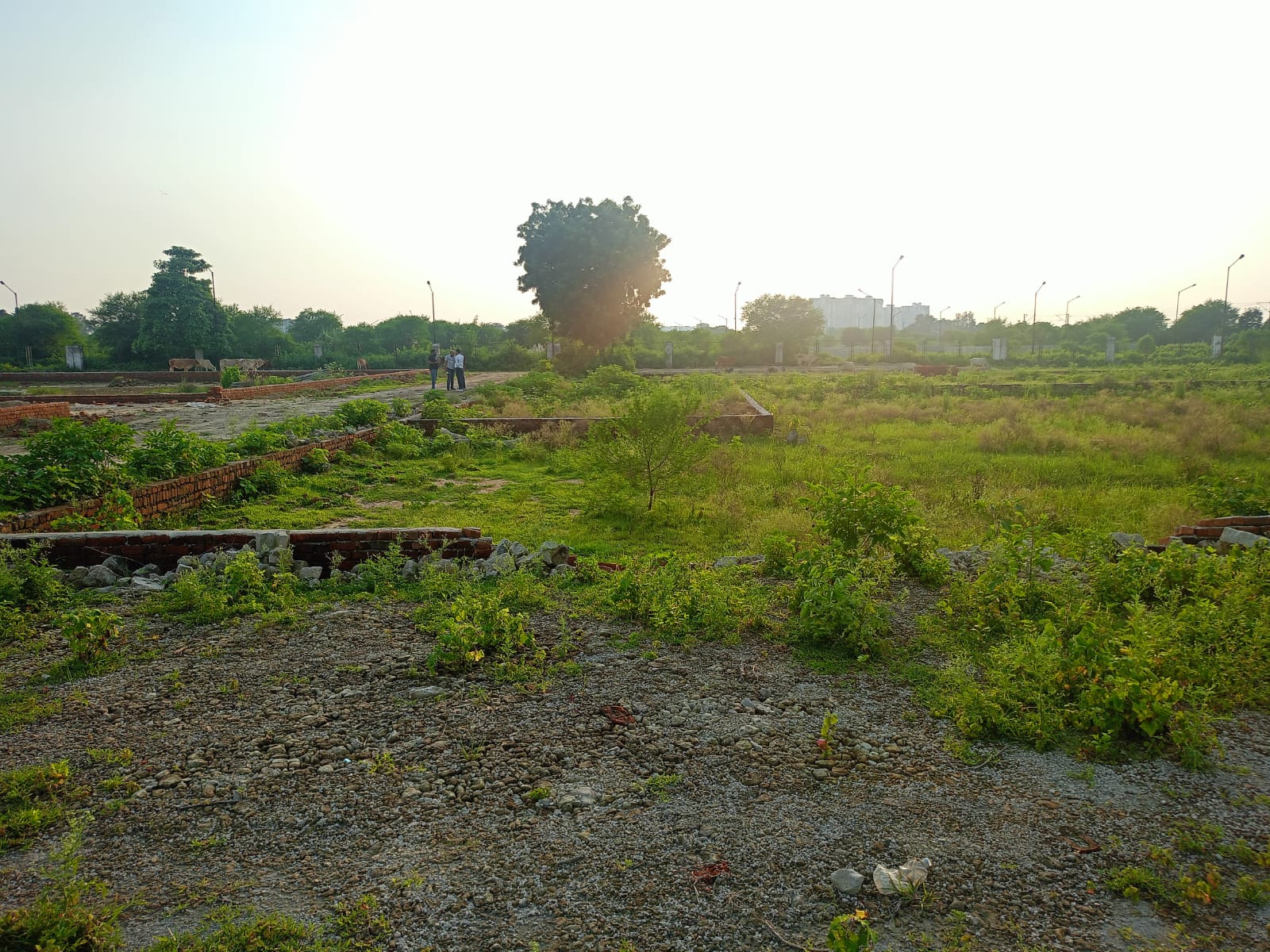 Plot For Sale in Sushant Golf City