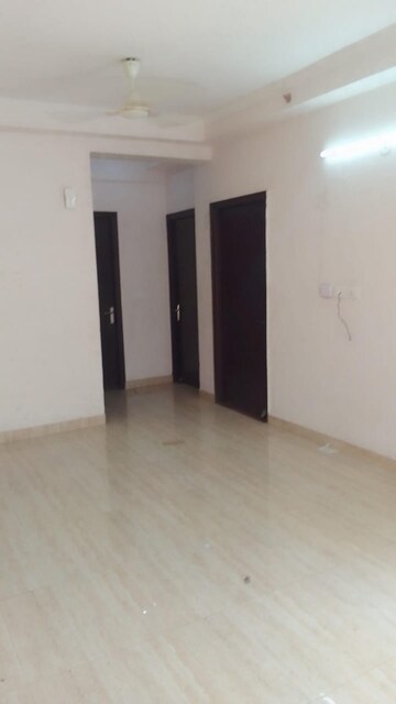 Room in 3 BHK Apartment at Amrapali Golf Homes, Sector 4 Greater Noida – for Rent