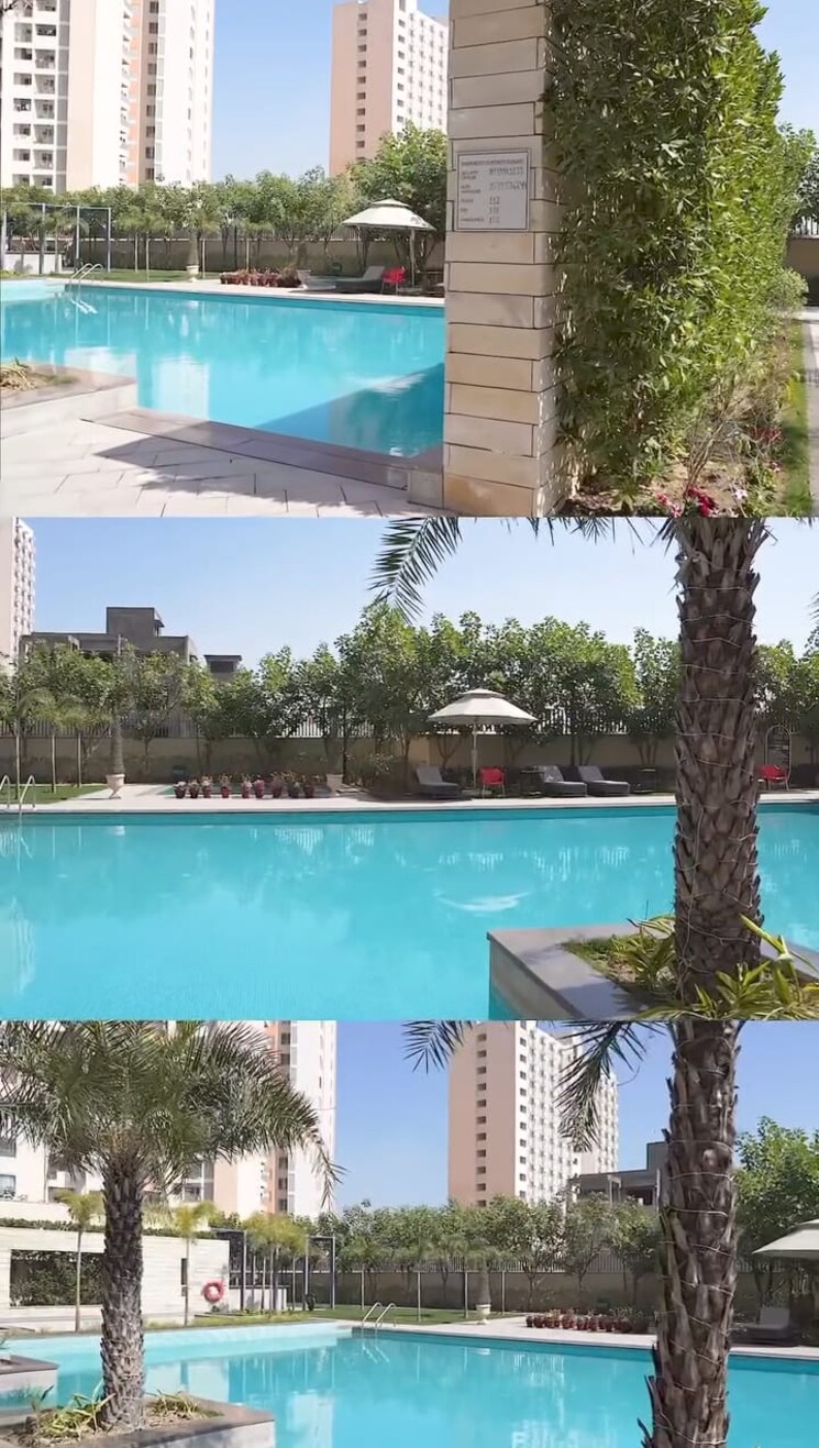 Swimming Pool, bptp-amstoria  180 Sq.Yd. Plot In Sector 102 Gurgaon 9188854