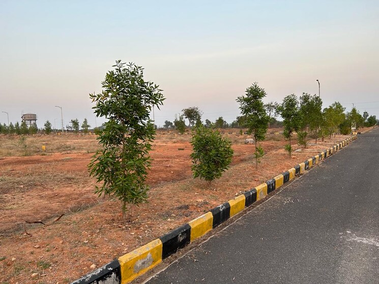 undefined, jb-nature-valley  294 Sq.Yd. Plot In Choutuppal Hyderabad 9188897