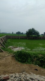 1201 Sq.Ft. Plot in Beldarichak