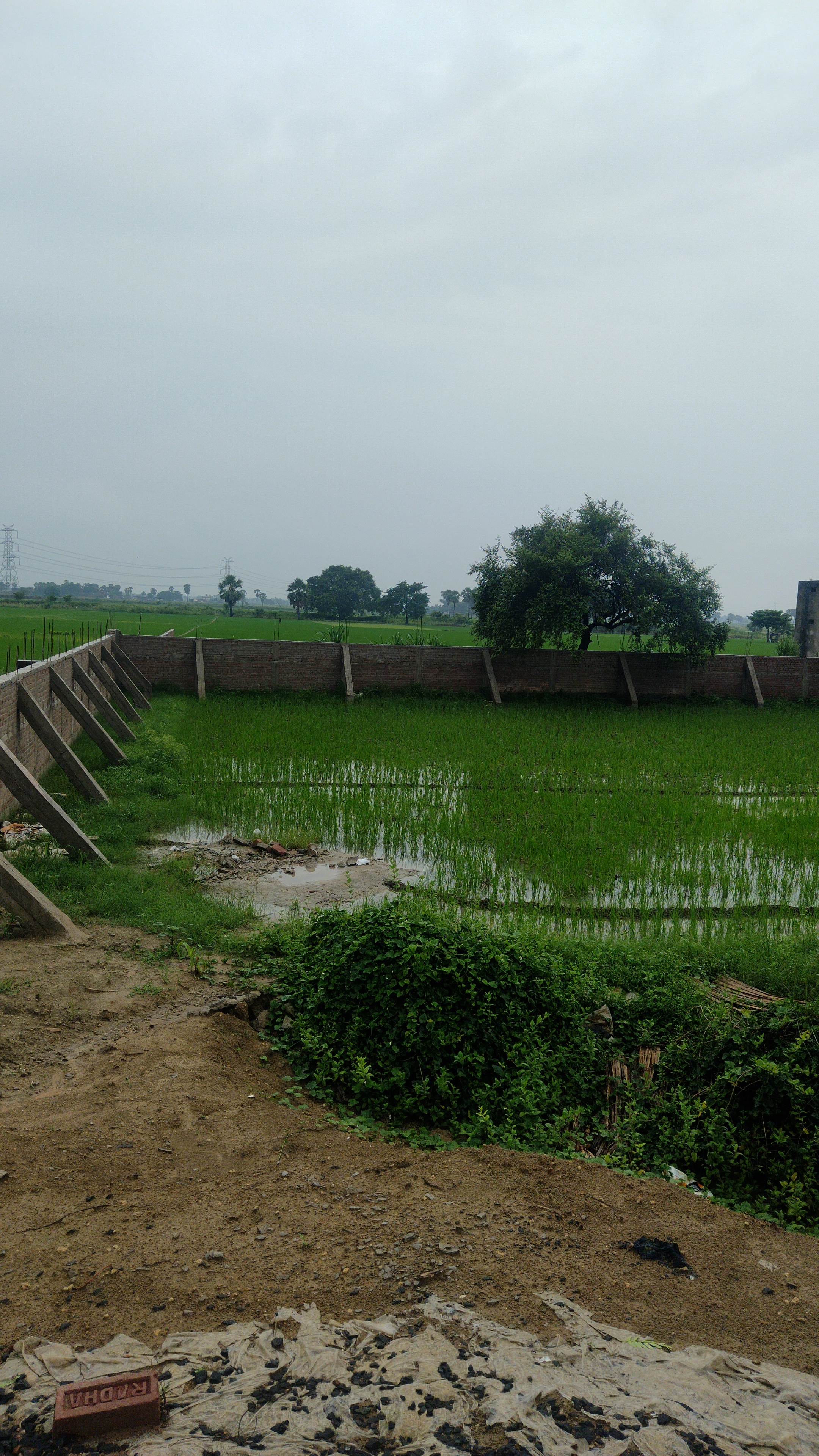 Plot For Sale in Beldarichak