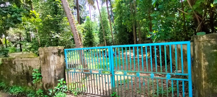 Exterior View, kuttoor  6534 Sq.Ft. Plot In Kuttoor Thrissur 9189035