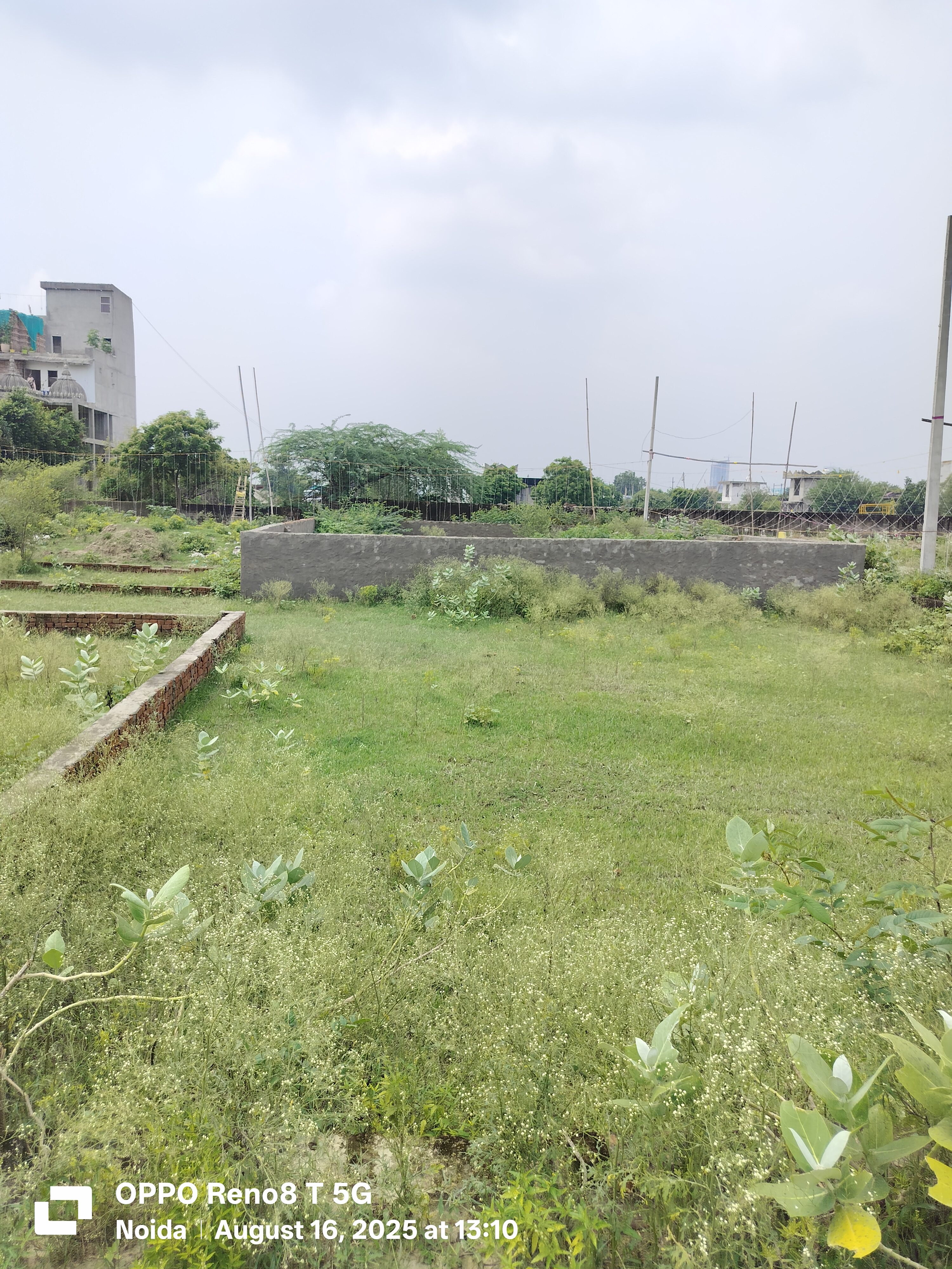 Plot For Sale in Jaganpur 