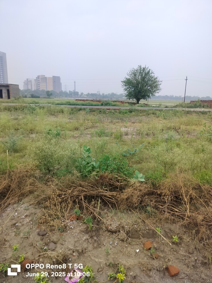 undefined, sector 27 yamuna expressway  119 Sq.Yd. Plot In Sector 27 Yamuna Expressway Greater Noida 9189184
