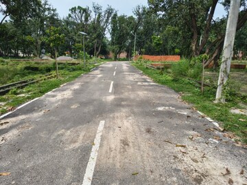 Plot Area in  Plot at Alambagh – for Sale