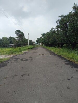 Plot Area in  Plot at Haldwani – for Sale
