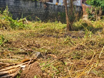 Plot Area in  Plot at Parottukonam – for Sale