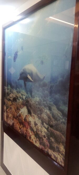 Furnished Amenities in 2 BHK Apartment at Parker White Lily, Sector 8 – for Sale