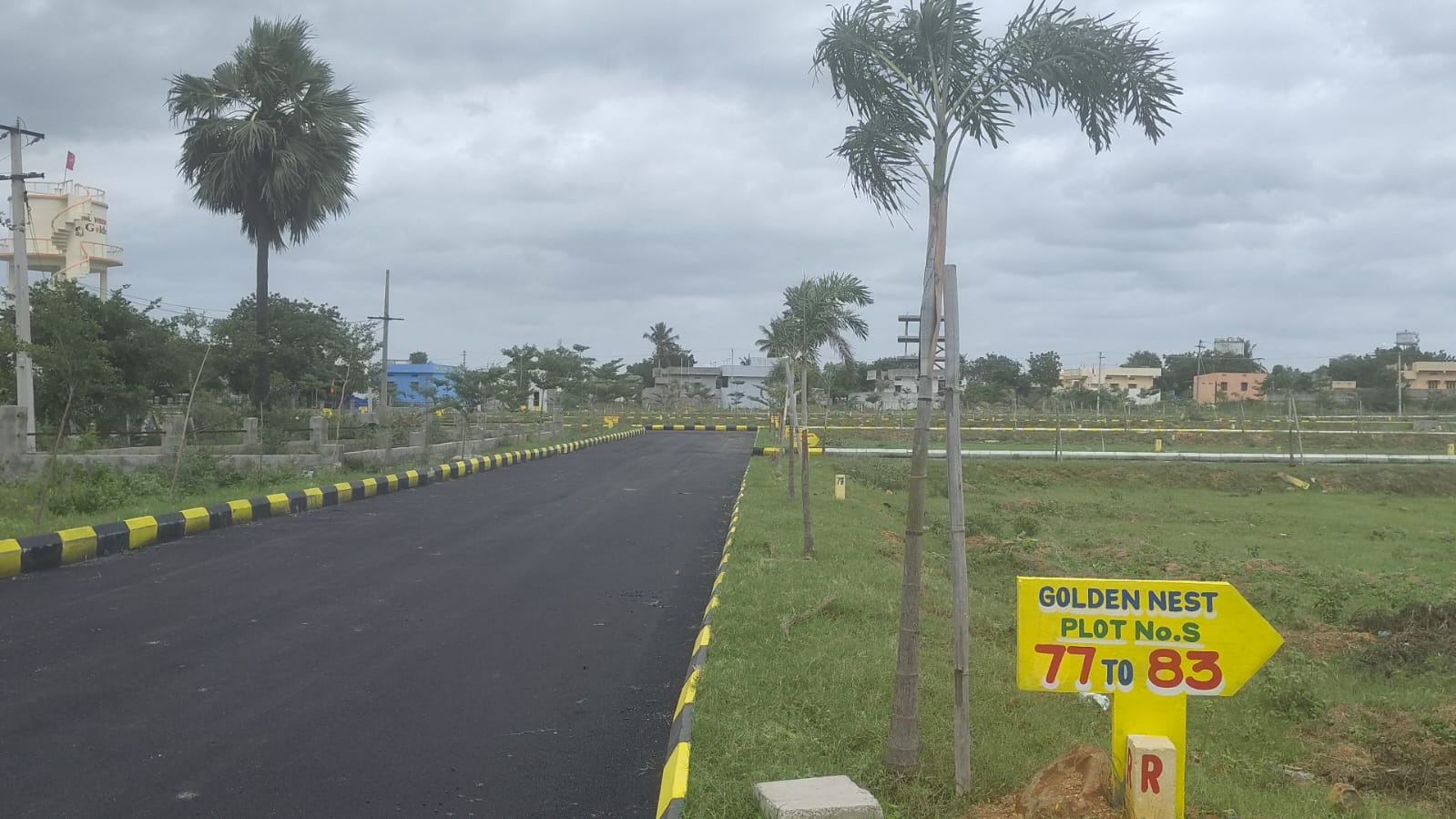 Plot For Sale in Raigiri