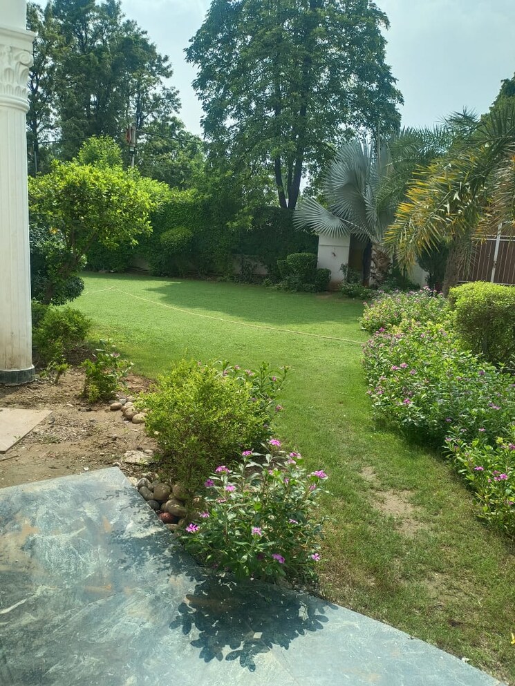 Garden, sainik farm 5 Bedroom 1150 Sq.Yd. Villa In Sainik Farm Delhi 9190729