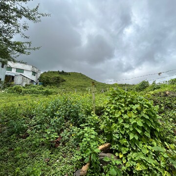 Plot Area in  Plot at Satpur – for Sale