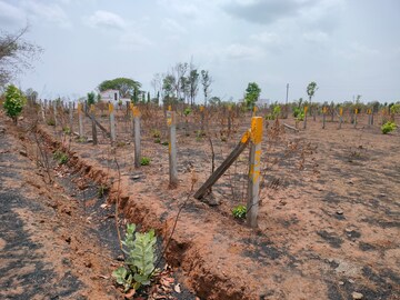  Plot For Sale in Murbad Karjat Road