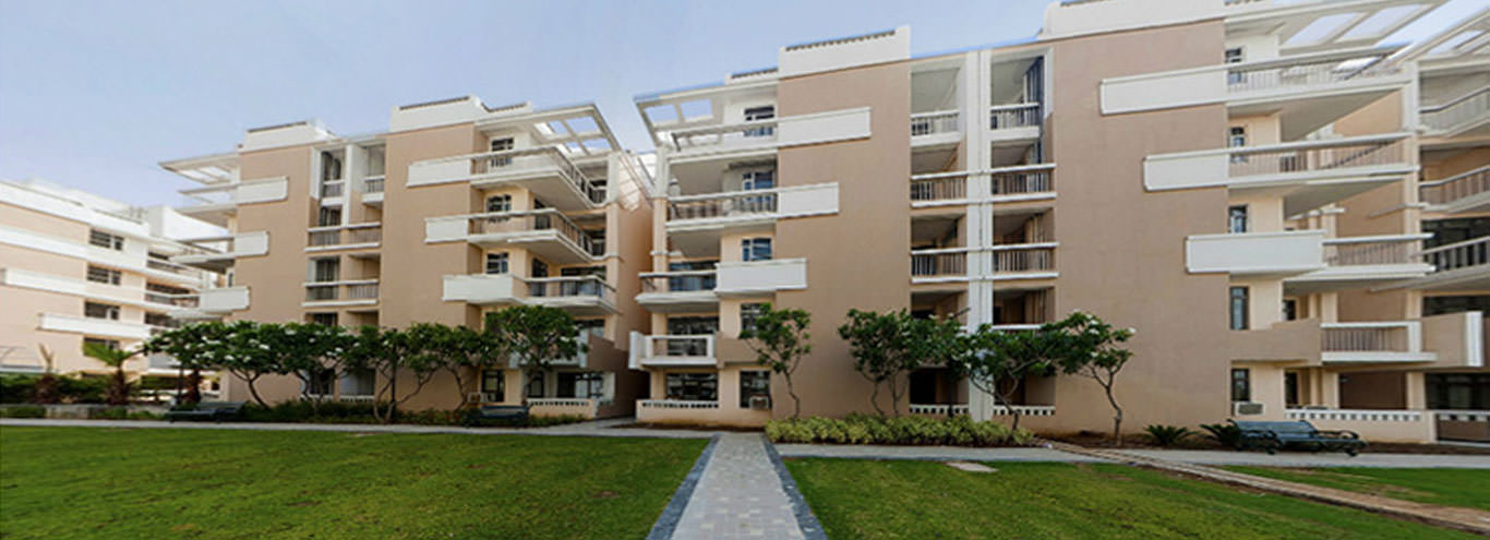 1 BHK 445 Sq.Ft. Apartment in Eldeco Mystic Green Phase II