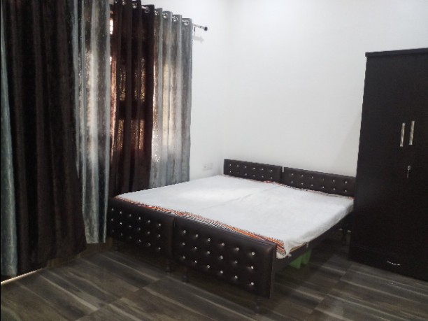 3 BHK Apartment For Rent in Nip Grand Woods Dlw Colon