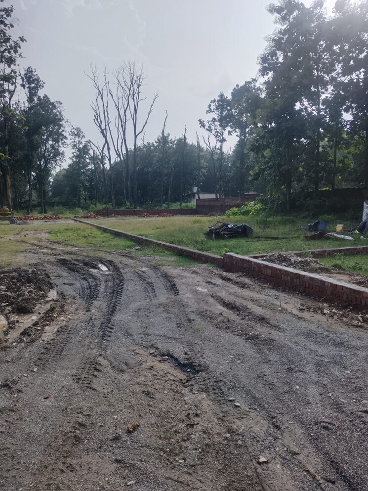 undefined, pondha  1125 Sq.Ft. Plot In Pondha Dehradun 9192196