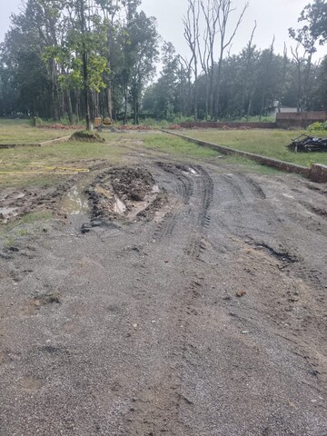Plot Area in  Plot at Pondha – for Sale