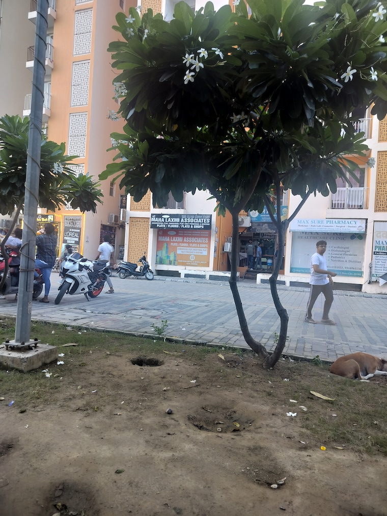 Exterior View, sarin-farm-chs  100 Sq.Yd. Plot In Habibpur Greater Noida 9192411