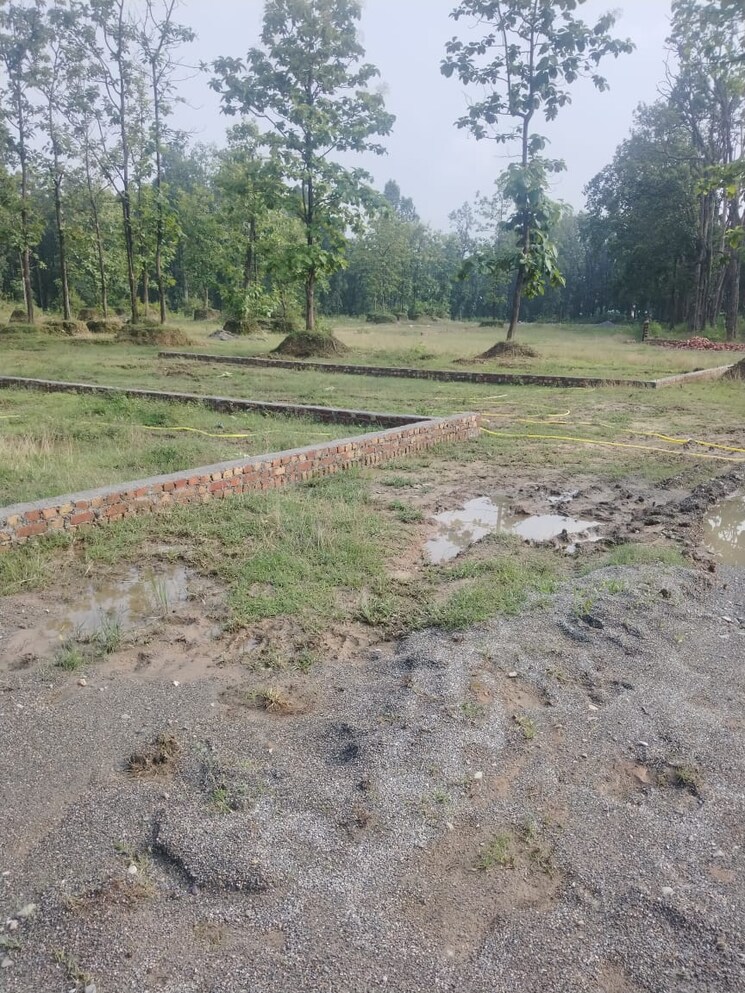 undefined, pondha  1215 Sq.Ft. Plot In Pondha Dehradun 9192490