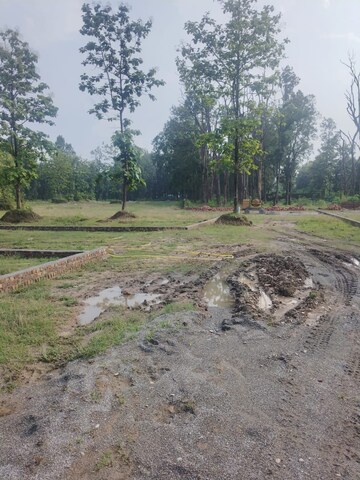 Plot Area in  Plot at Pondha – for Sale