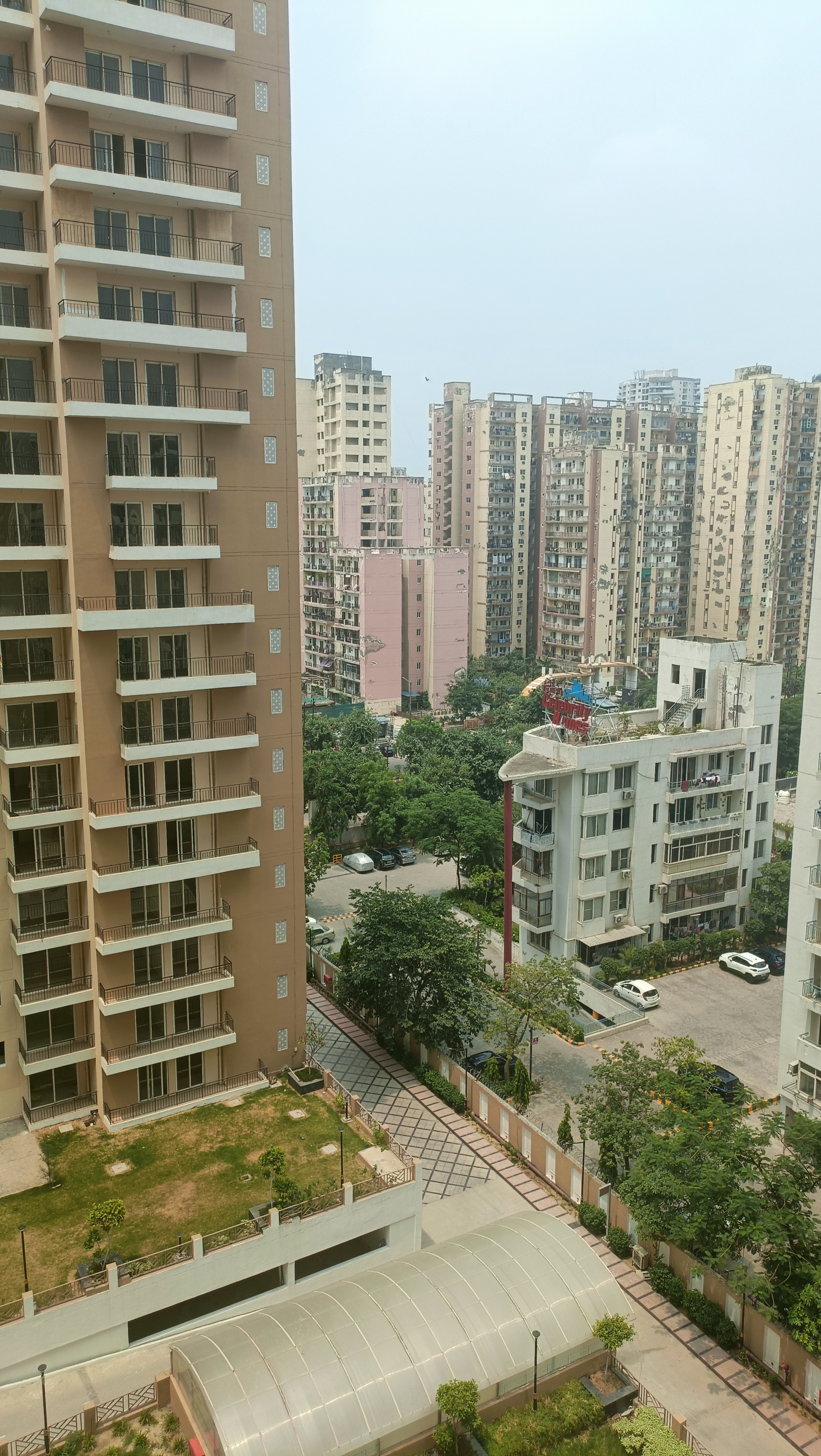3 BHK Apartment For Rent in Amrapali Crystal Homes