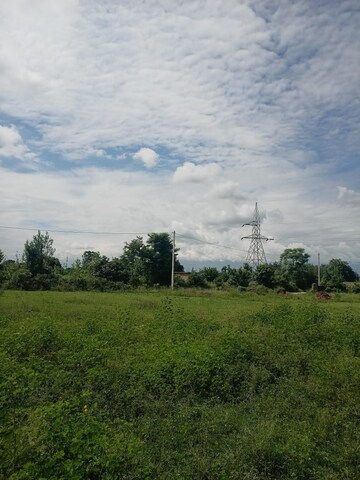 Plot Area in  Plot at Kalyanpur – for Sale