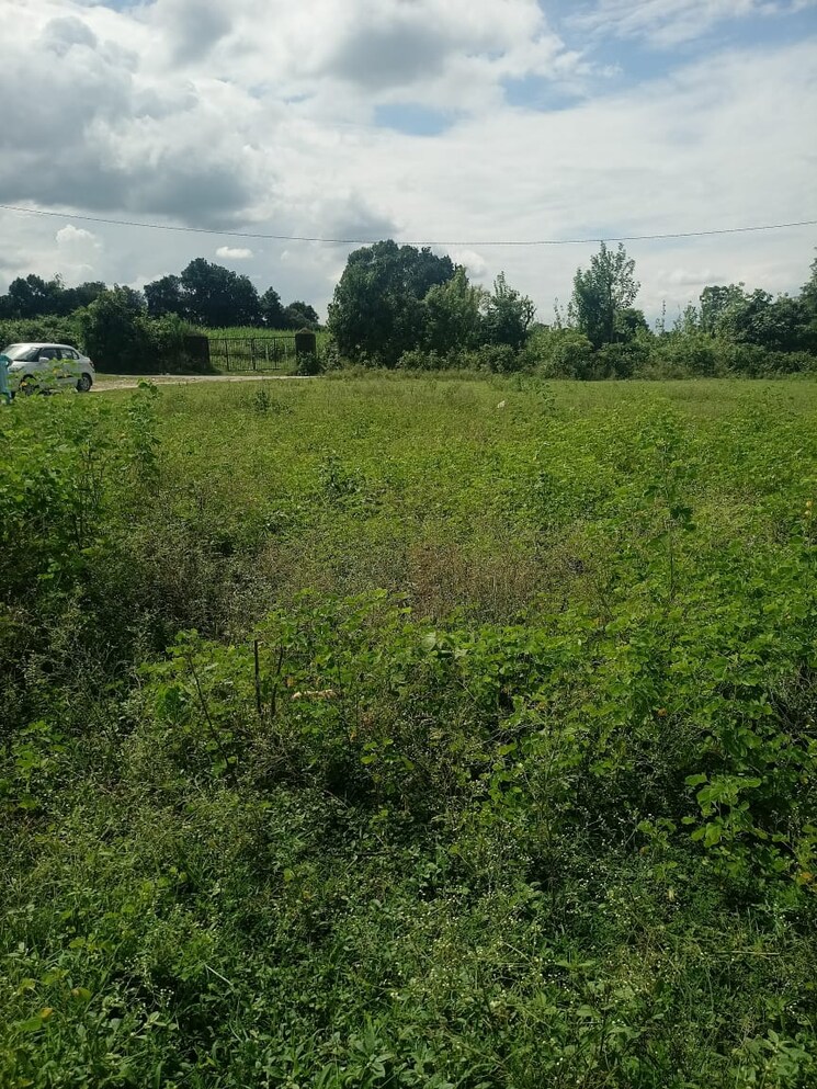 undefined, kalyanpur  1159 Sq.Ft. Plot In Kalyanpur Dehradun 9192657