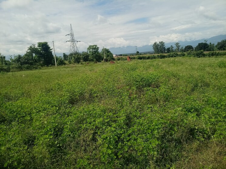 undefined, kalyanpur  1159 Sq.Ft. Plot In Kalyanpur Dehradun 9192657