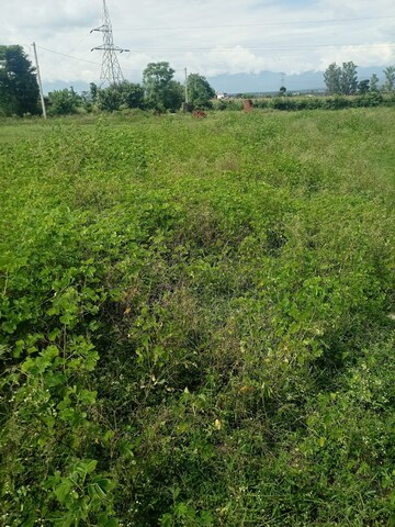  Plot – Garden View at Kalyanpur - for Sale