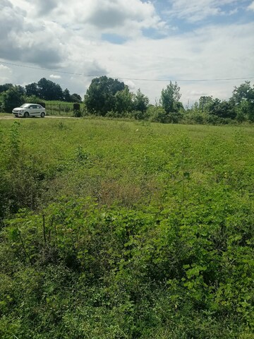 Plot Area in  Plot at Kalyanpur – for Sale