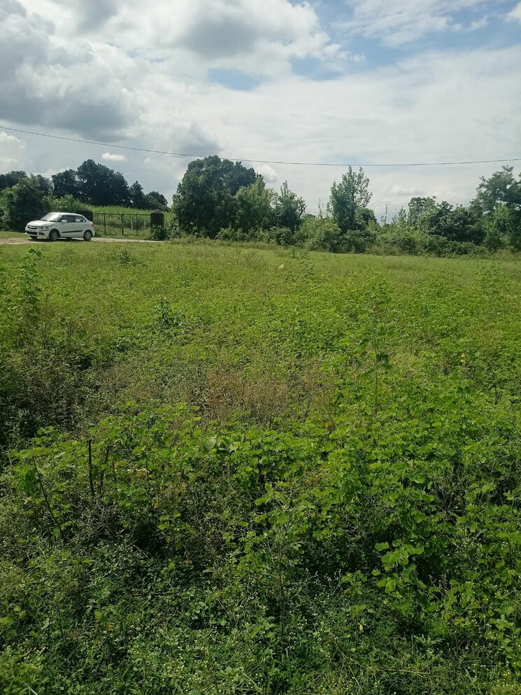 undefined, kalyanpur  1159 Sq.Ft. Plot In Kalyanpur Dehradun 9192657