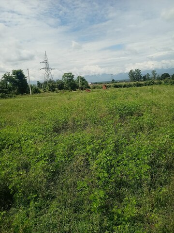 Plot Area in  Plot at Kalyanpur – for Sale