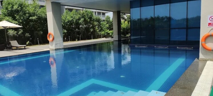 Swimming Pool, paras-dews 3 Bedroom 1665 Sq.Ft. Apartment In Sector 106 Gurgaon 9192690