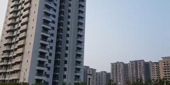 3 BHK + Study Room Apartment For Sale in Paras Dews