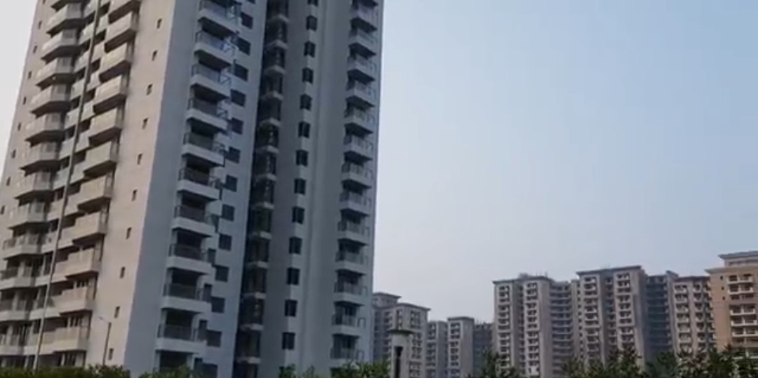 3 BHK + Study Room Apartment For Sale in Paras Dews