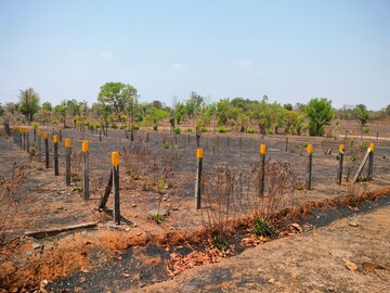Plot Area in  Plot at Murbad Karjat Road – for Sale
