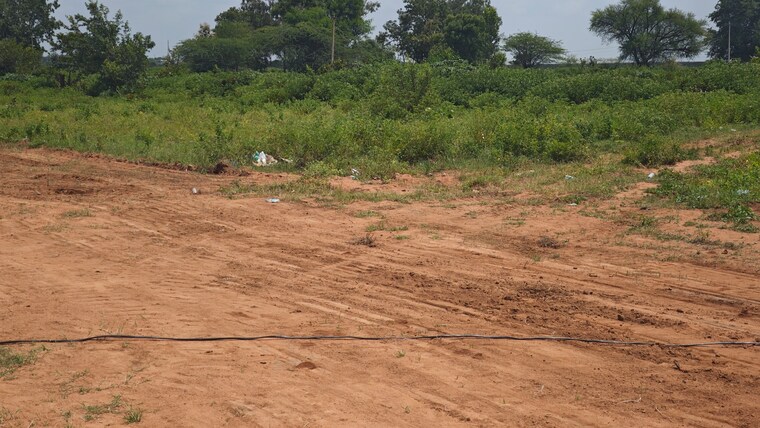 undefined, shadnagar  150 Sq.Yd. Plot In Shadnagar Hyderabad 9192796