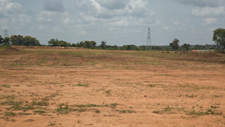 undefined, shadnagar  150 Sq.Yd. Plot In Shadnagar Hyderabad 9192834