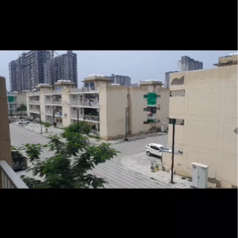 3 BHK Apartment For Rent in BPTP Park 81