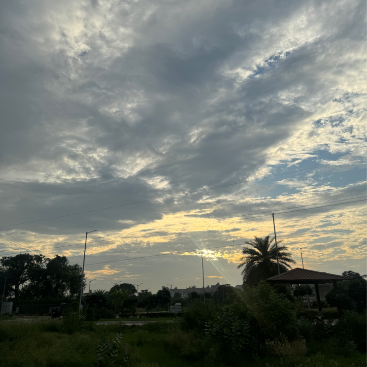 undefined, faridpur  84 Sq.Yd. Plot In Faridpur Panipat 9192999